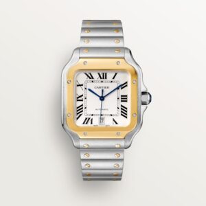 Santos de Cartier watch (Large)